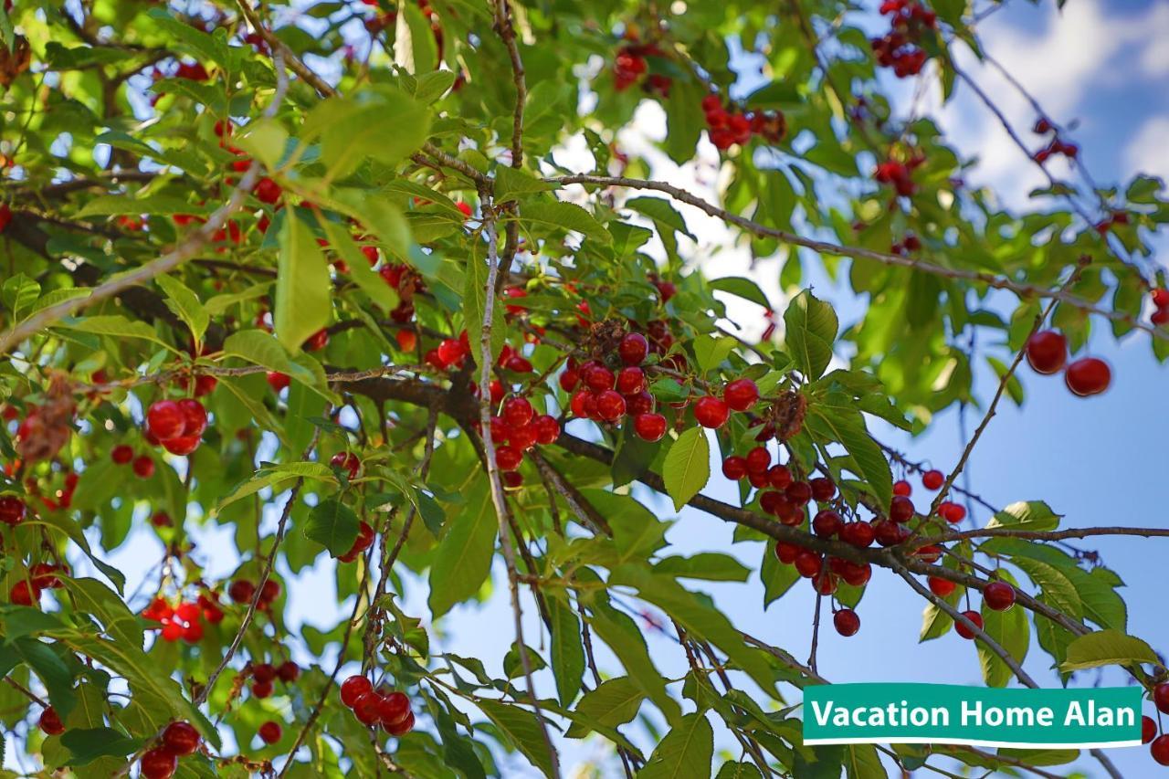 Vacation Home Alan 2 Kulen Vakuf Ngoại thất bức ảnh