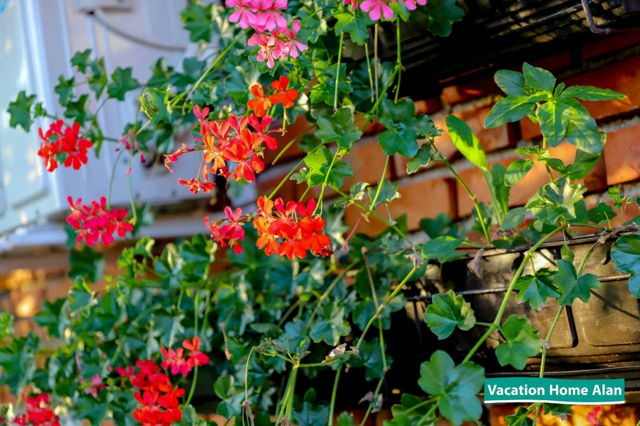 Vacation Home Alan 2 Kulen Vakuf Ngoại thất bức ảnh